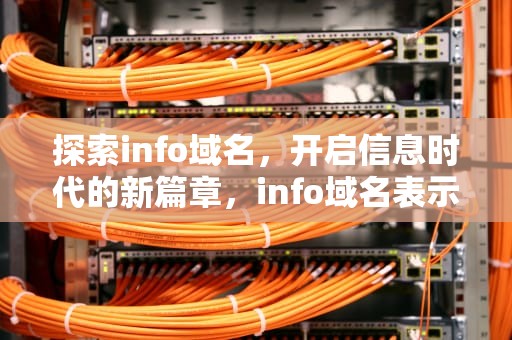 探索info域名，开启信息时代的新篇章，info域名表示的是什么