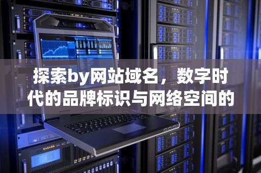 探索by网站域名，数字时代的品牌标识与网络空间的新纪元，by网站域名忘记了怎么办?请牢记以下