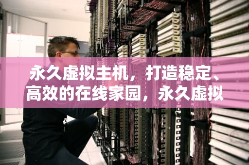 永久虚拟主机，打造稳定、高效的在线家园，永久虚拟主机购买