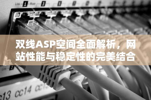 双线ASP空间全面解析，网站性能与稳定性的完美结合，双线性空间