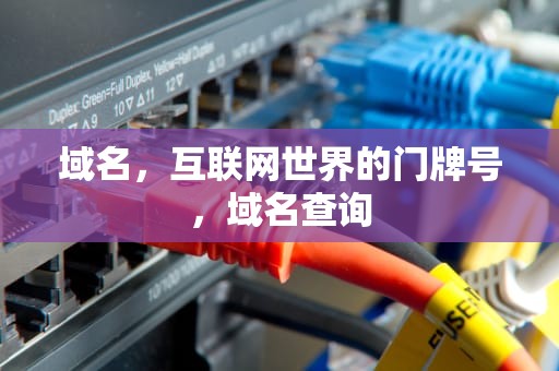 域名，互联网世界的门牌号，域名查询