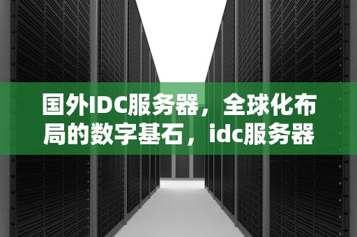 国外IDC服务器，全球化布局的数字基石，idc服务器