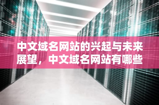 中文域名网站的兴起与未来展望，中文域名网站有哪些