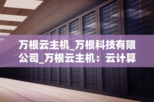 万根云主机_万根科技有限公司_万根云主机：云计算时代的基础设施