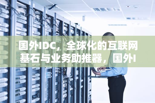 国外IDC，全球化的互联网基石与业务助推器，国外IDC技术公司