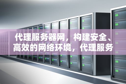 代理服务器网，构建安全、高效的网络环境，代理服务器网站