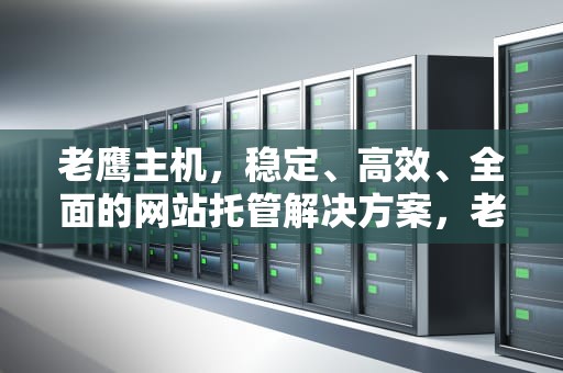 老鹰主机，稳定、高效、全面的网站托管解决方案，老鹰主机优惠码