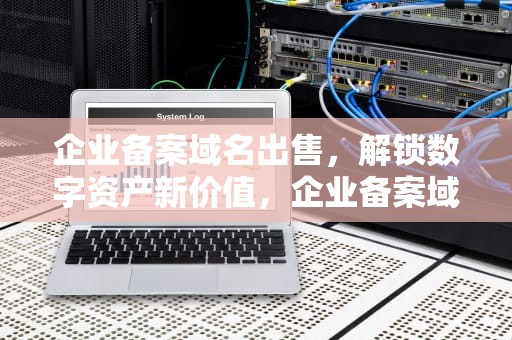 企业备案域名出售，解锁数字资产新价值，企业备案域名出售平台