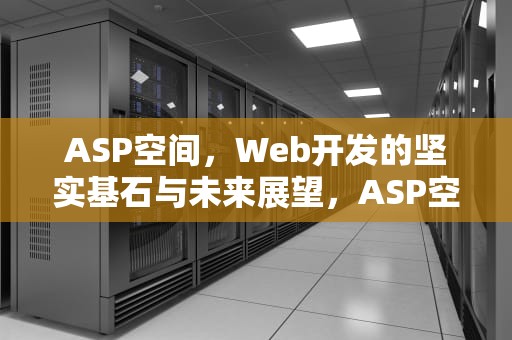 ASP空间，Web开发的坚实基石与未来展望，ASP空间申请