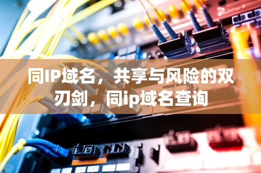 同IP域名，共享与风险的双刃剑，同ip域名查询