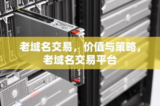 老域名交易，价值与策略，老域名交易平台