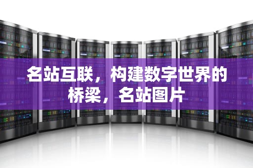 名站互联，构建数字世界的桥梁，名站图片