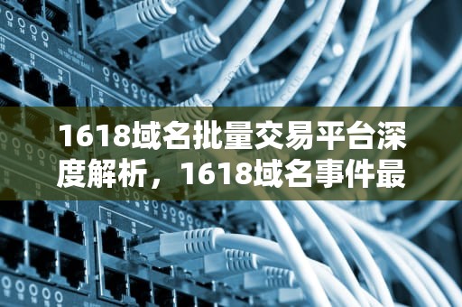 1618域名批量交易平台深度解析，1618域名事件最新进展