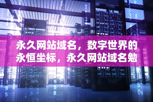 永久网站域名，数字世界的永恒坐标，永久网站域名勉费在线观看