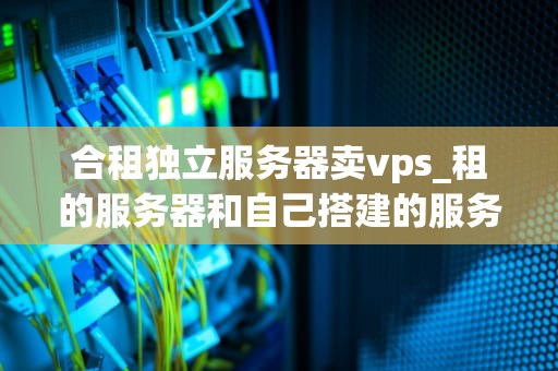 合租独立服务器卖vps_租的服务器和自己搭建的服务器有什么区别_合租独立服务器卖VPS：一种经济高效的解决方案
