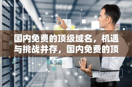 国内免费的顶级域名，机遇与挑战并存，国内免费的顶级域名有哪些