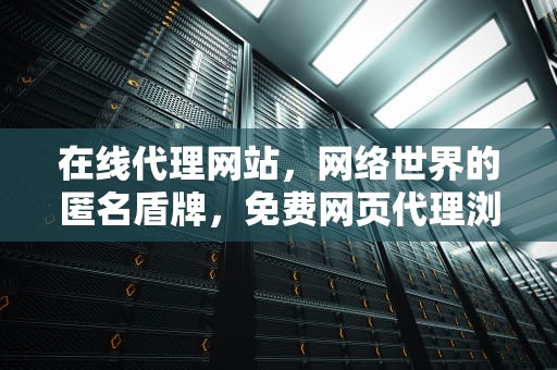在线代理网站，网络世界的匿名盾牌，免费网页代理浏览器