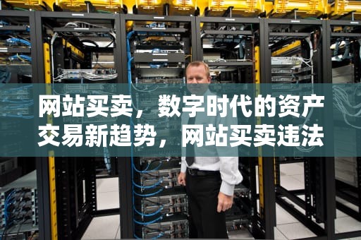 网站买卖，数字时代的资产交易新趋势，网站买卖违法吗