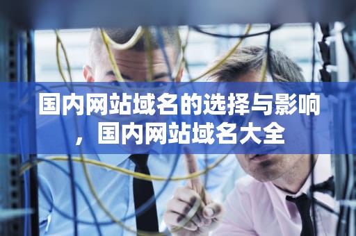 国内网站域名的选择与影响，国内网站域名大全