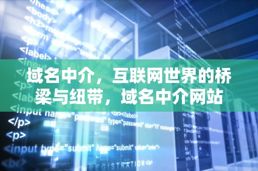 域名中介，互联网世界的桥梁与纽带，域名中介网站