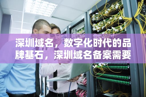 深圳域名，数字化时代的品牌基石，深圳域名备案需要多久