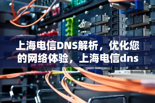 上海电信DNS解析，优化您的网络体验，上海电信dns地址