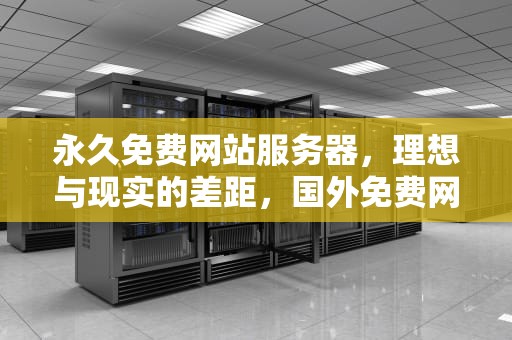 永久免费网站服务器，理想与现实的差距，国外免费网站域名服务器查询软件