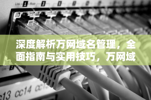 深度解析万网域名管理，全面指南与实用技巧，万网域名管理类联考考什么
