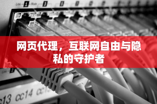 网页代理，互联网自由与隐私的守护者