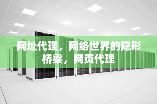 网址代理，网络世界的隐形桥梁，网页代理