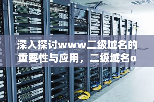 深入探讨www二级域名的重要性与应用，二级域名org