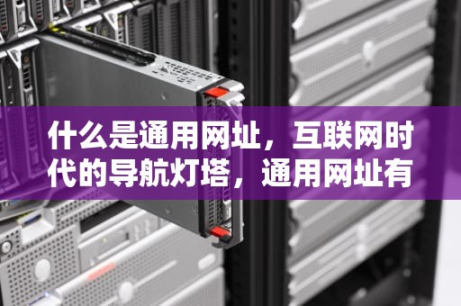 什么是通用网址，互联网时代的导航灯塔，通用网址有用吗