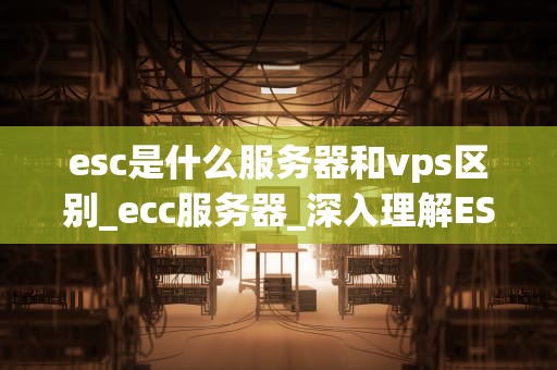 esc是什么服务器和vps区别_ecc服务器_深入理解ESC、服务器与VPS的区别