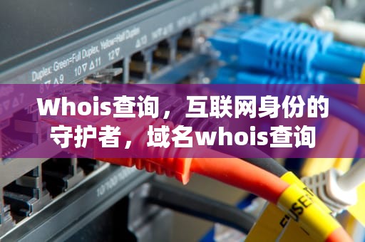 Whois查询，互联网身份的守护者，域名whois查询