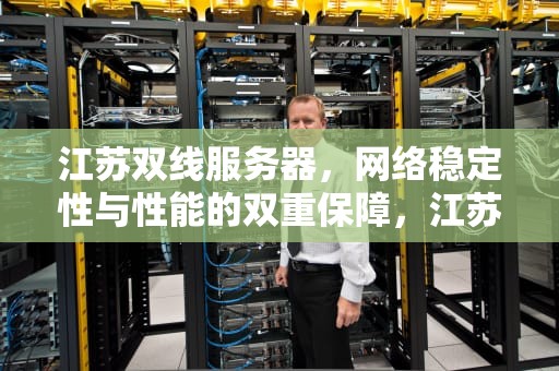 江苏双线服务器，网络稳定性与性能的双重保障，江苏双线服务器厂家