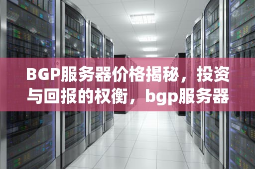 BGP服务器价格揭秘，投资与回报的权衡，bgp服务器多少钱芝麻