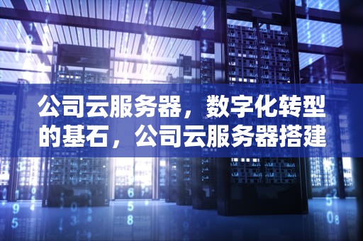公司云服务器，数字化转型的基石，公司云服务器搭建