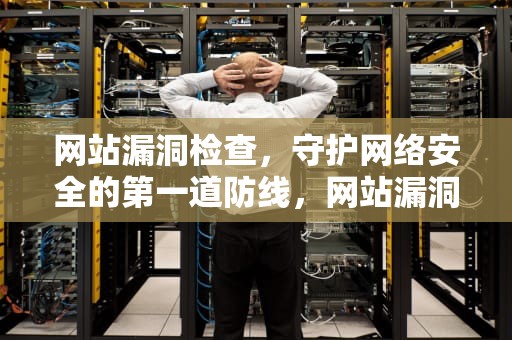 网站漏洞检查，守护网络安全的第一道防线，网站漏洞检查方法