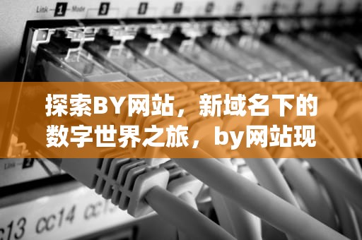 探索BY网站，新域名下的数字世界之旅，by网站现在的域名贴吧