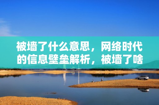 被墙了什么意思，网络时代的信息壁垒解析，被墙了啥意思