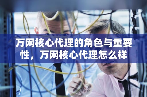 万网核心代理的角色与重要性，万网核心代理怎么样