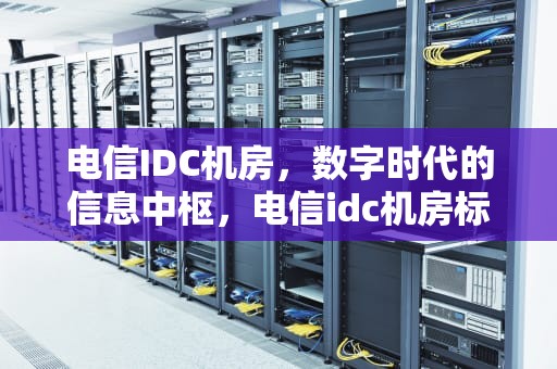 电信IDC机房，数字时代的信息中枢，电信idc机房标准