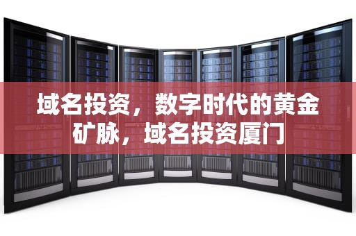 域名投资，数字时代的黄金矿脉，域名投资厦门