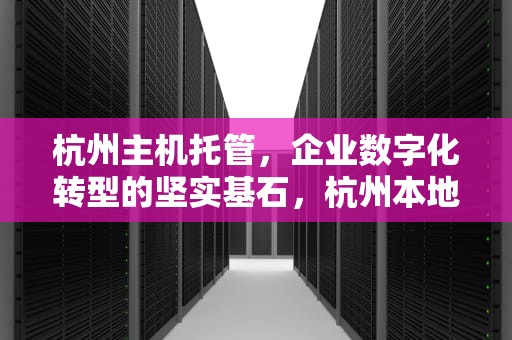 杭州主机托管，企业数字化转型的坚实基石，杭州本地服务器托管