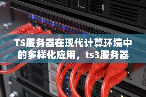 TS服务器在现代计算环境中的多样化应用，ts3服务器