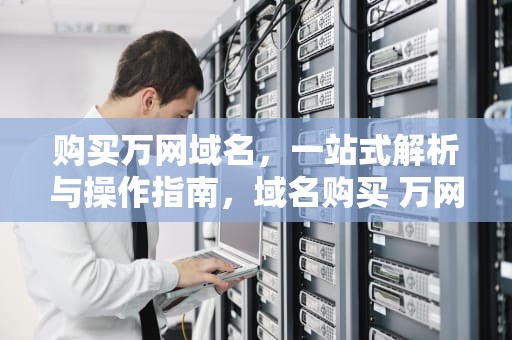 购买万网域名，一站式解析与操作指南，域名购买 万网