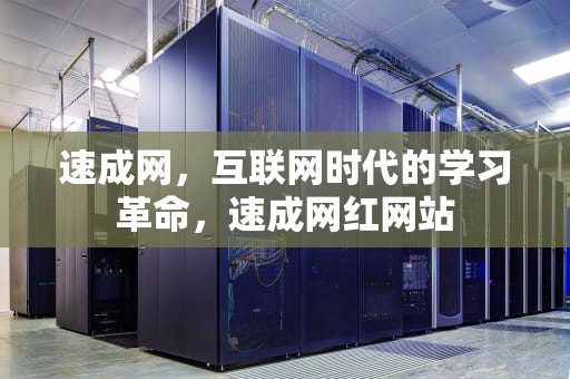 速成网，互联网时代的学习革命，速成网红网站