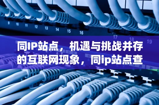 同IP站点，机遇与挑战并存的互联网现象，同ip站点查询源码