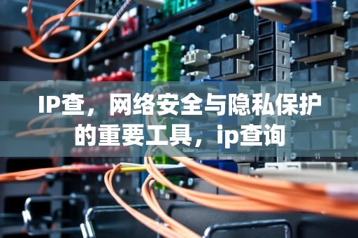 IP查，网络安全与隐私保护的重要工具，ip查询