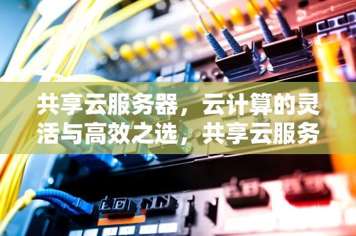 共享云服务器，云计算的灵活与高效之选，共享云服务器是什么